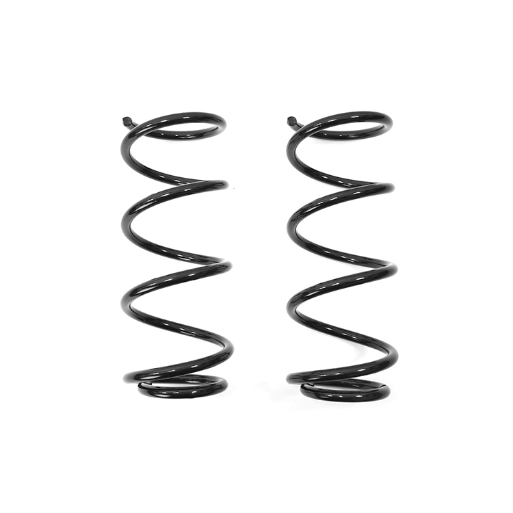 RESORTE TRASEROS SYD