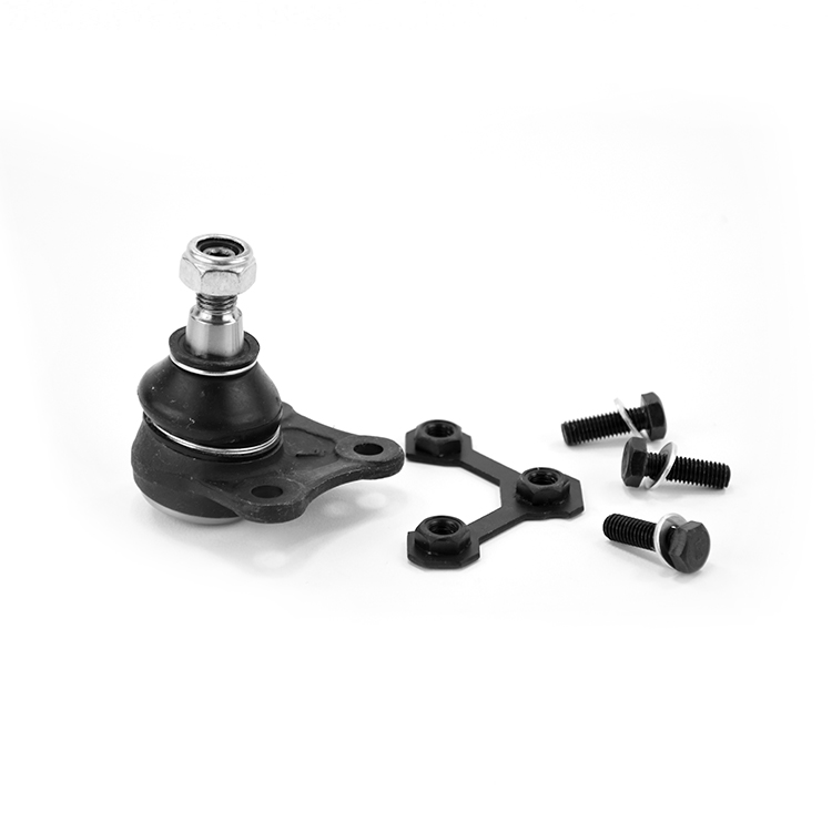 ROTULA INFERIOR (L) SYD