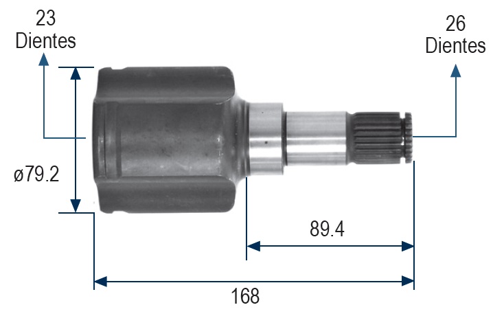 JUNTA HOMOCINETICA RACE